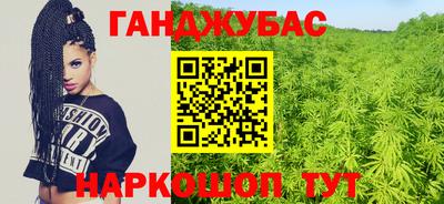 шишки Партизанск