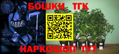шишки Партизанск