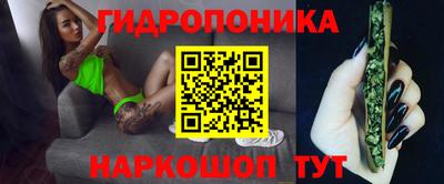шишки Партизанск