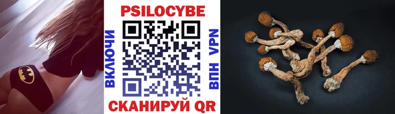 shop формула  Тутаев  Галлюциногенные грибы ЛСД 