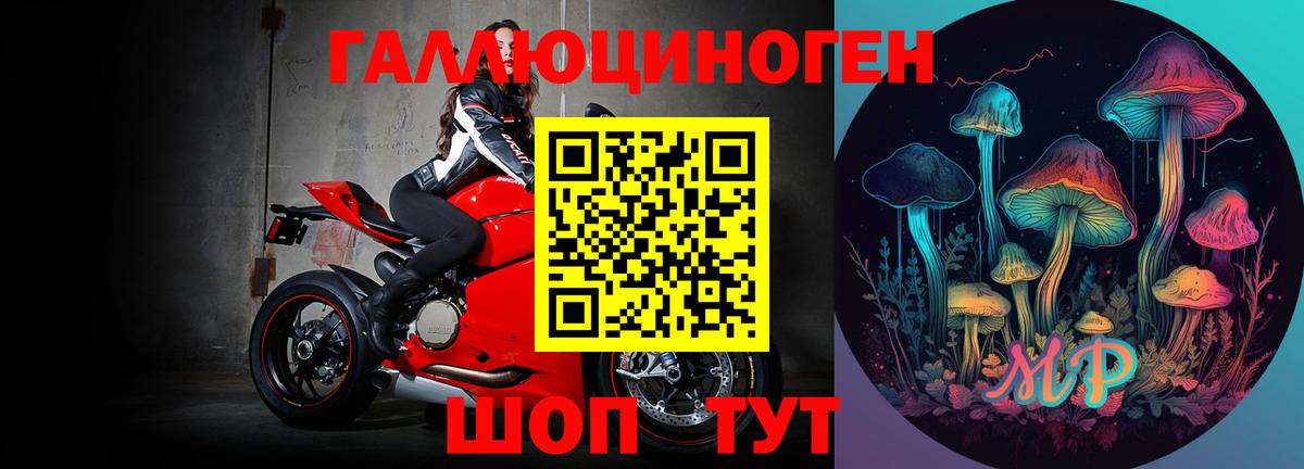Псилоцибиновые грибы MAGIC MUSHROOMS  где купить   Тутаев  Вход с VPN 